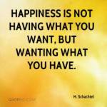 h-schachtel-quote-happiness-is-not-having-what-you-want-but-wanting